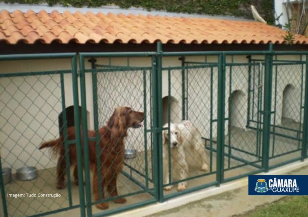 Projeto de lei deve regulamentar a criação, aquisição e venda de cães e gatos em Guaxupé