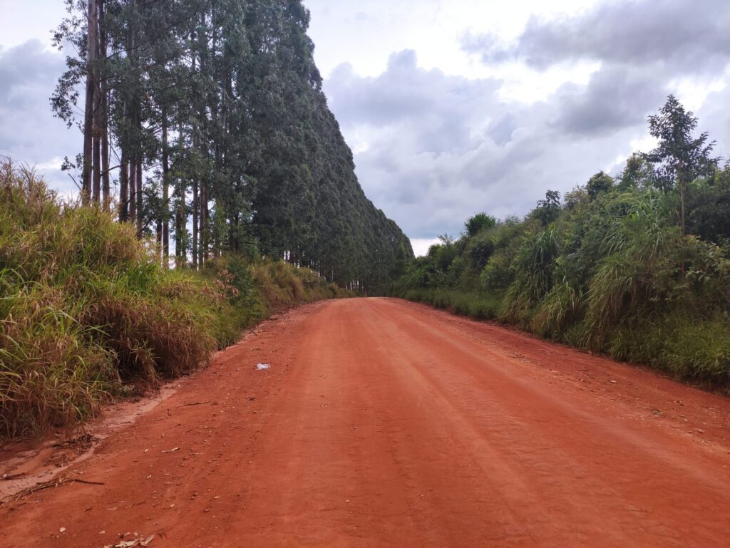 Estrada do distrito Biguatinga será asfaltada
