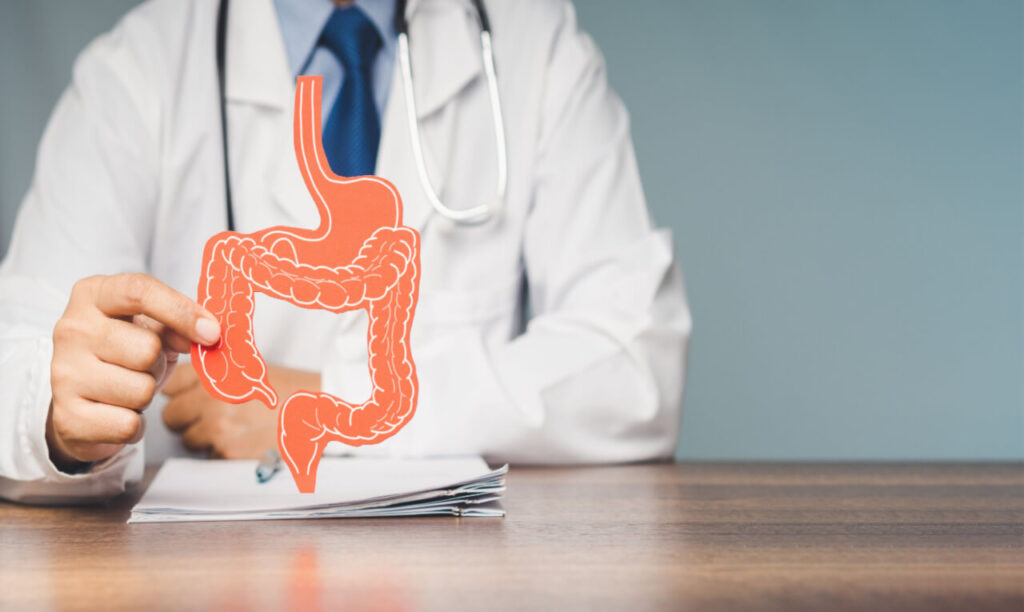 DICAS E CURIOSIDADES- Doenças Autoimunes Começam No Intestino; Entenda Por Que
